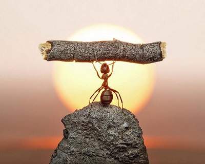 只有深入了解市場才能戰勝恐懼