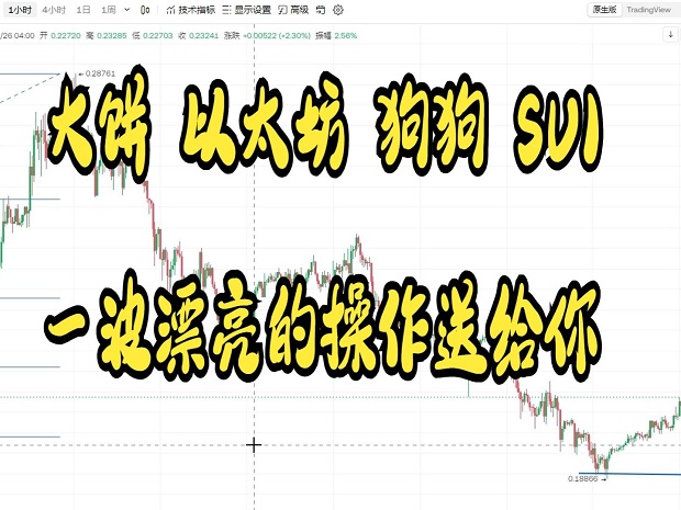 大餅狗狗|SUI一波漂亮的操作送給你